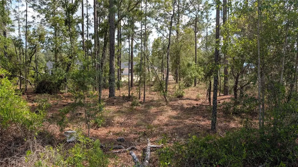 Lot 32 NW Hemlock Avenue Dunnellon FL 34431