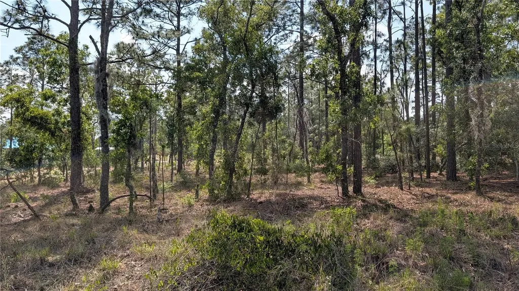 Lot 32 NW Hemlock Avenue Dunnellon FL 34431