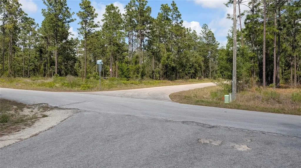 Lot 32 NW Hemlock Avenue Dunnellon FL 34431