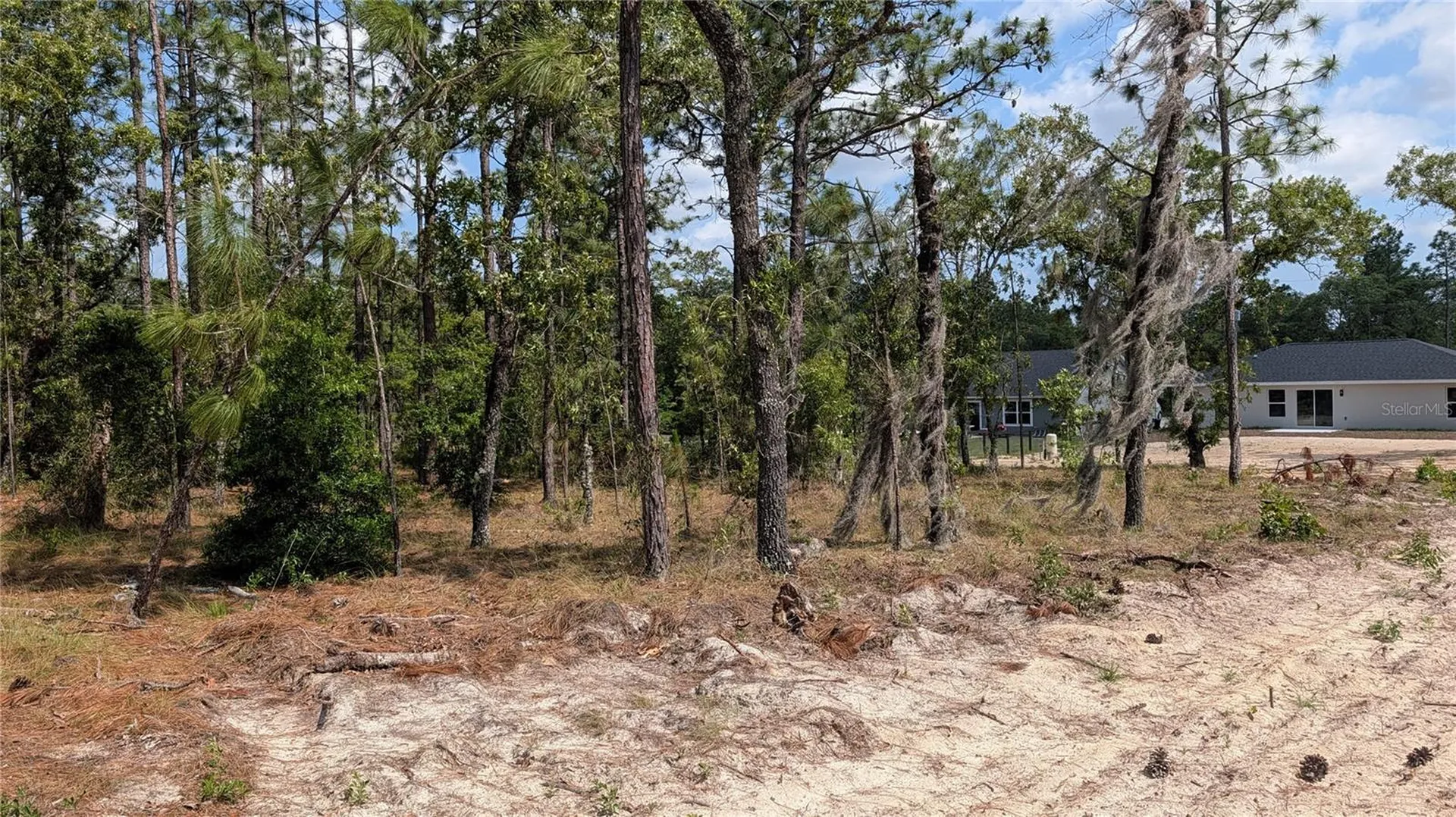 Lot 32 NW Hemlock Avenue Dunnellon FL 34431