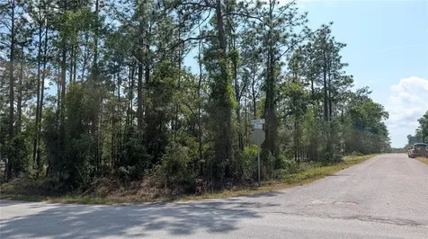 Lot 32 NW Hemlock Avenue Dunnellon FL 34431