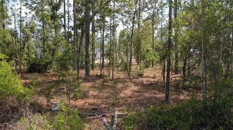 Lot 32 NW Hemlock Avenue Dunnellon FL 34431
