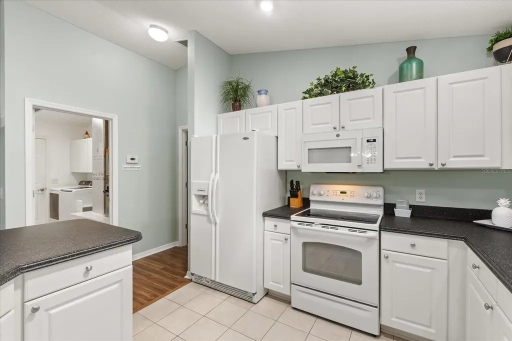 1561 Tallowtree Drive The Villages FL 32162