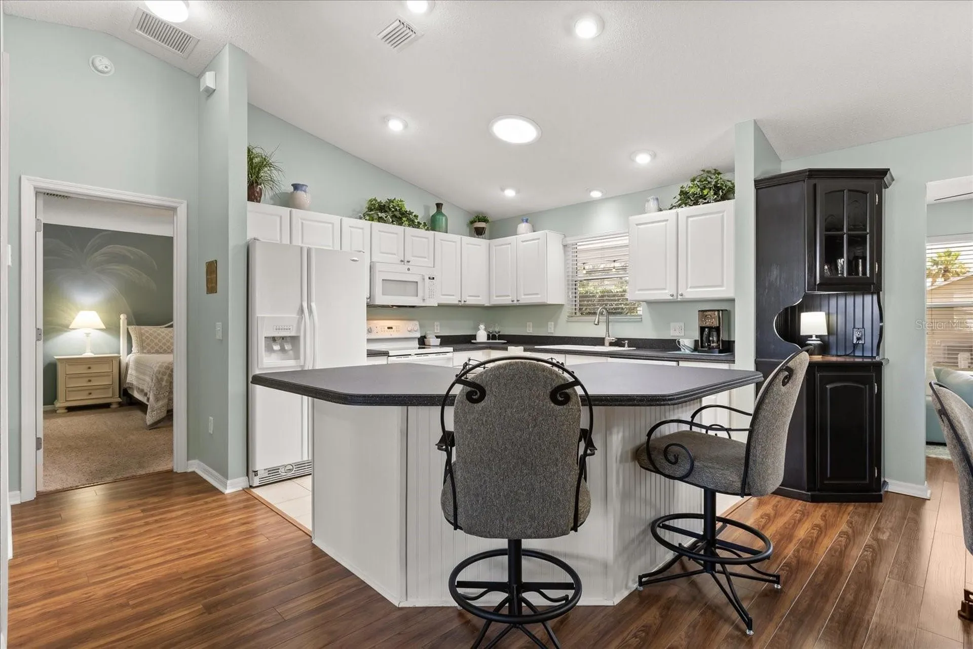 1561 Tallowtree Drive The Villages FL 32162