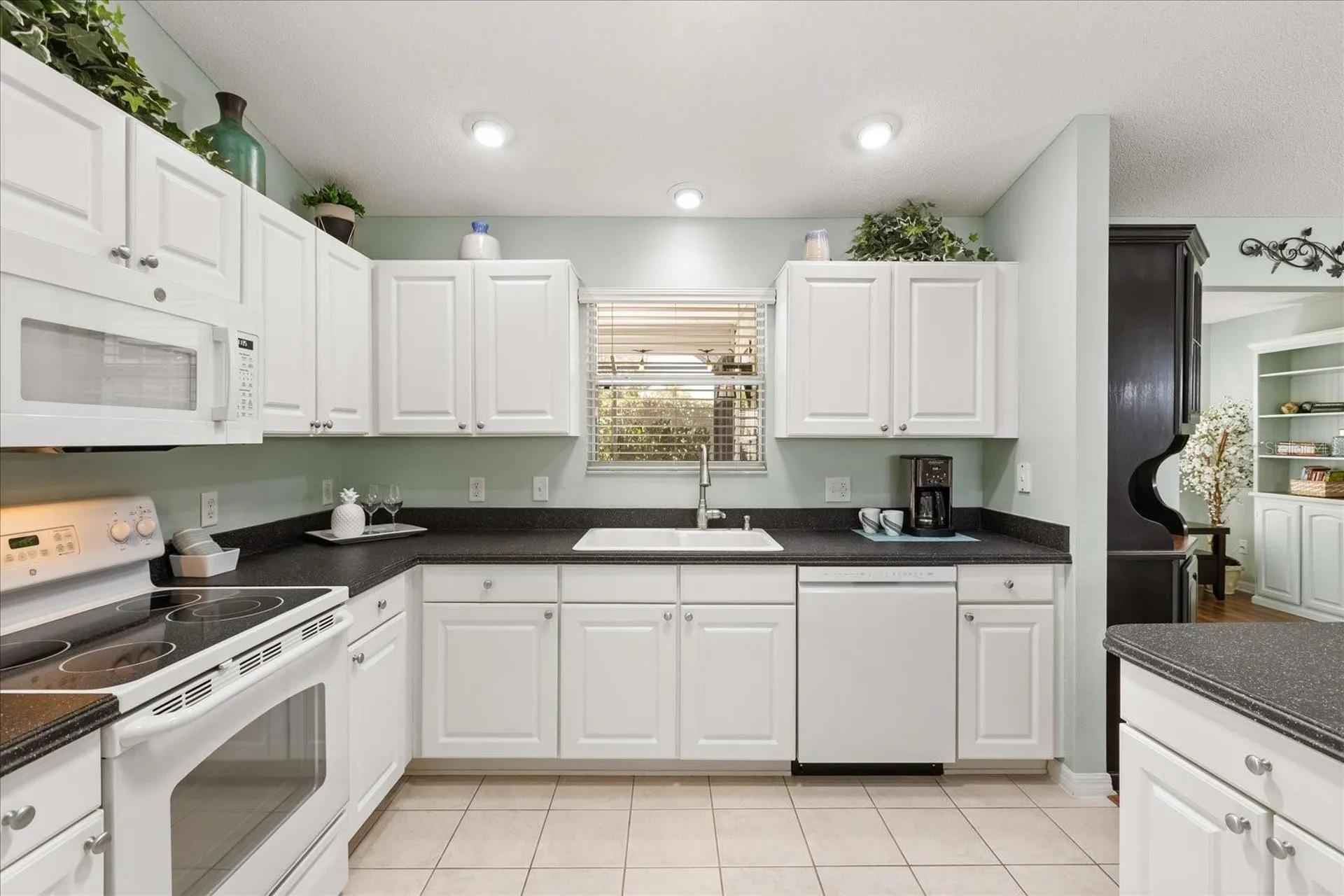 1561 Tallowtree Drive The Villages FL 32162