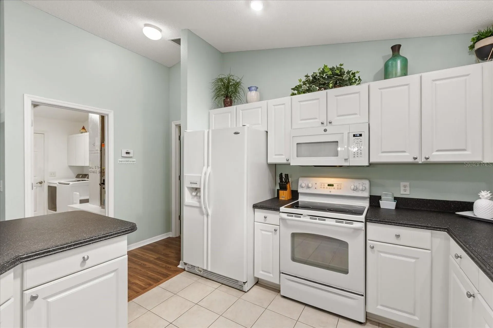1561 Tallowtree Drive The Villages FL 32162