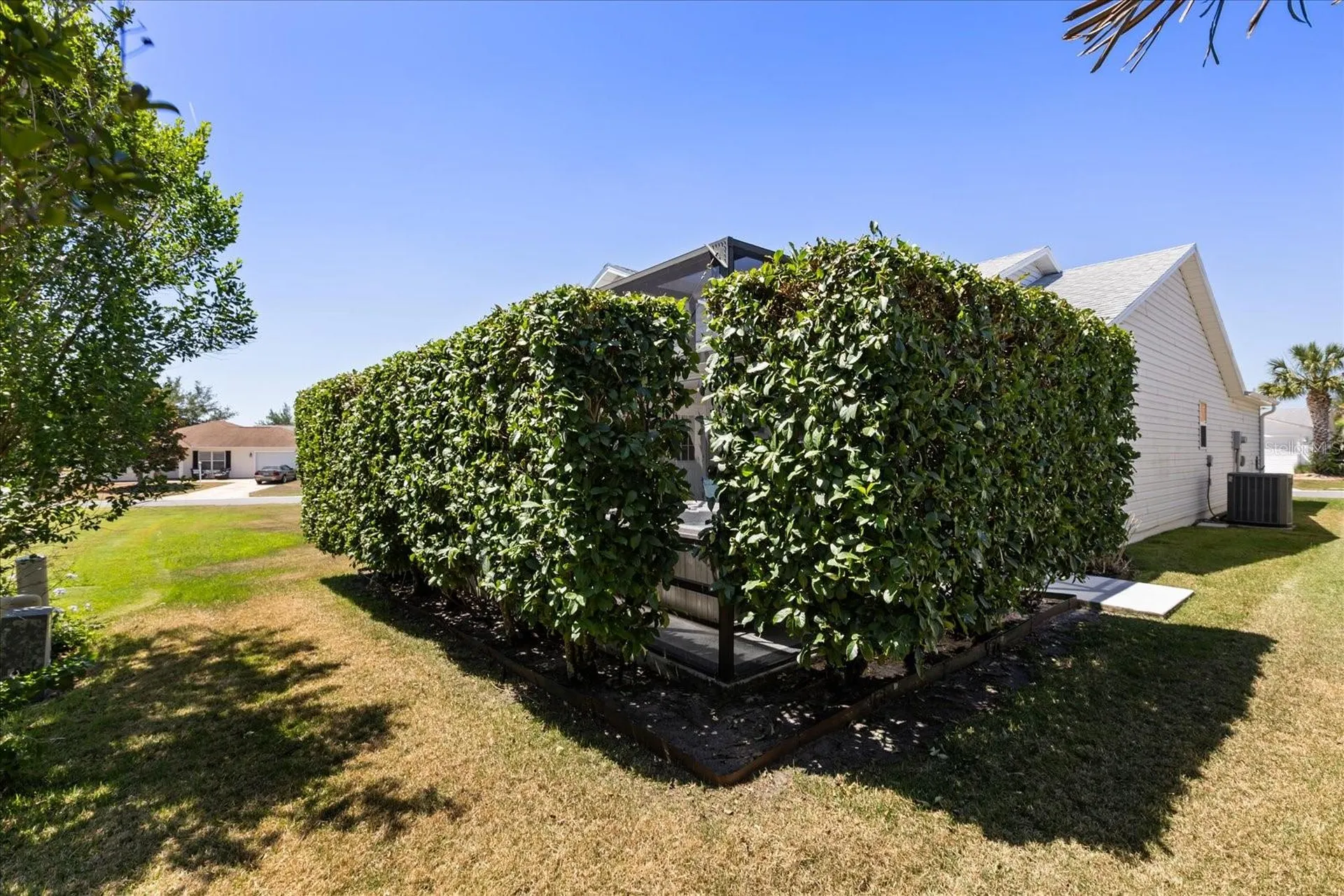 1561 Tallowtree Drive The Villages FL 32162