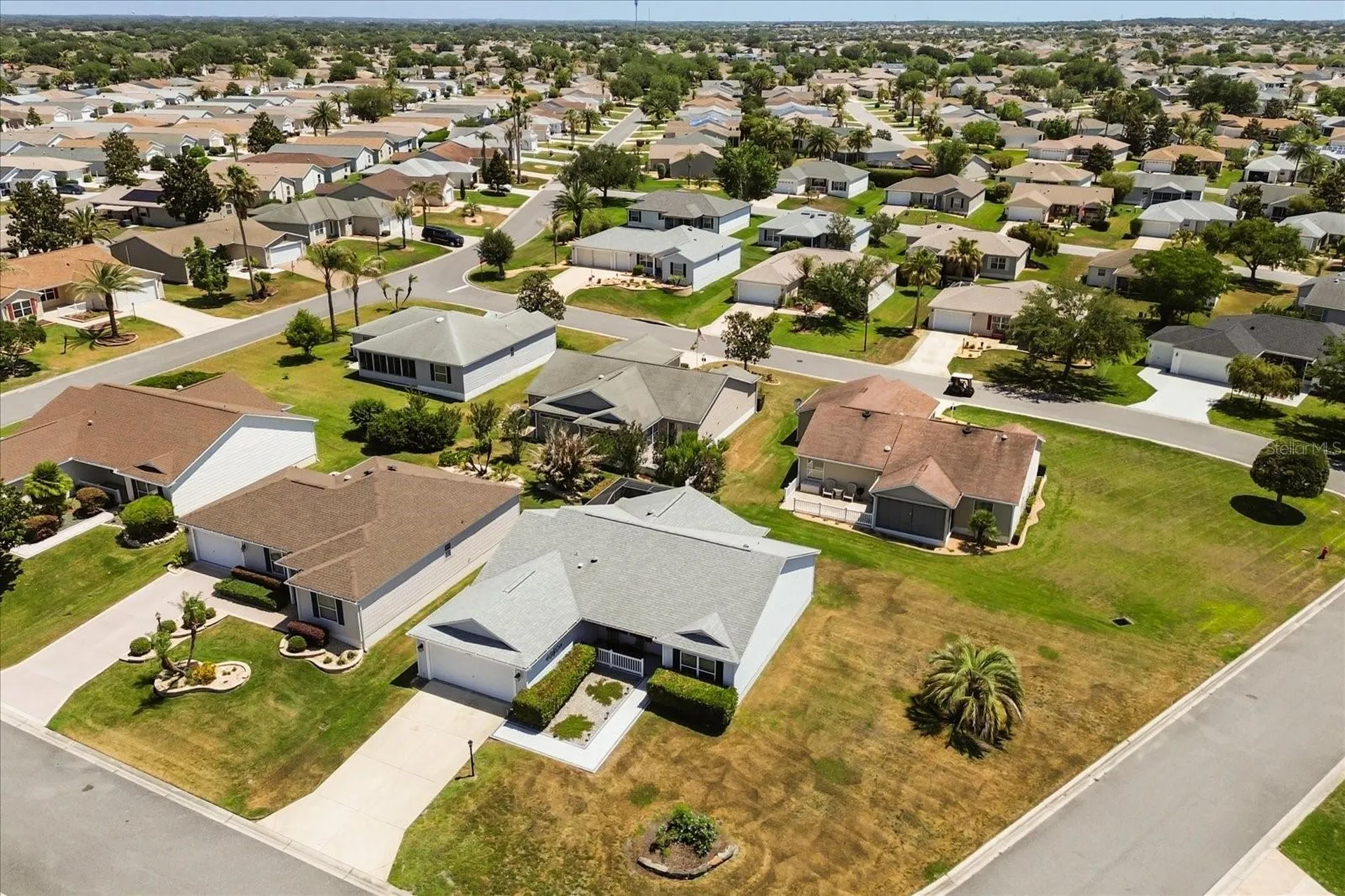 1561 Tallowtree Drive The Villages FL 32162