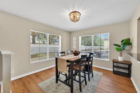 203 Penmark Stone Place Valrico FL 33594