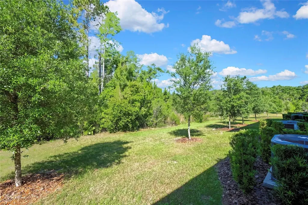 16663 Shell Bay Drive Land O Lakes FL 34638