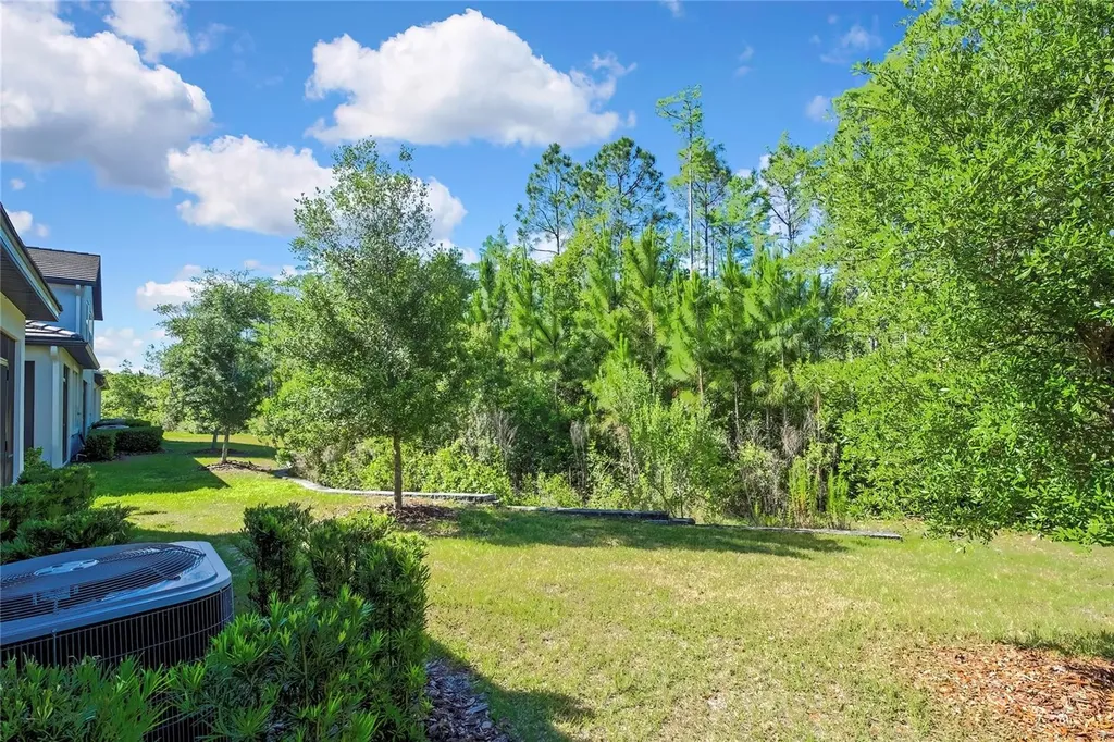 16663 Shell Bay Drive Land O Lakes FL 34638