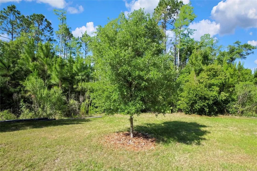 16663 Shell Bay Drive Land O Lakes FL 34638