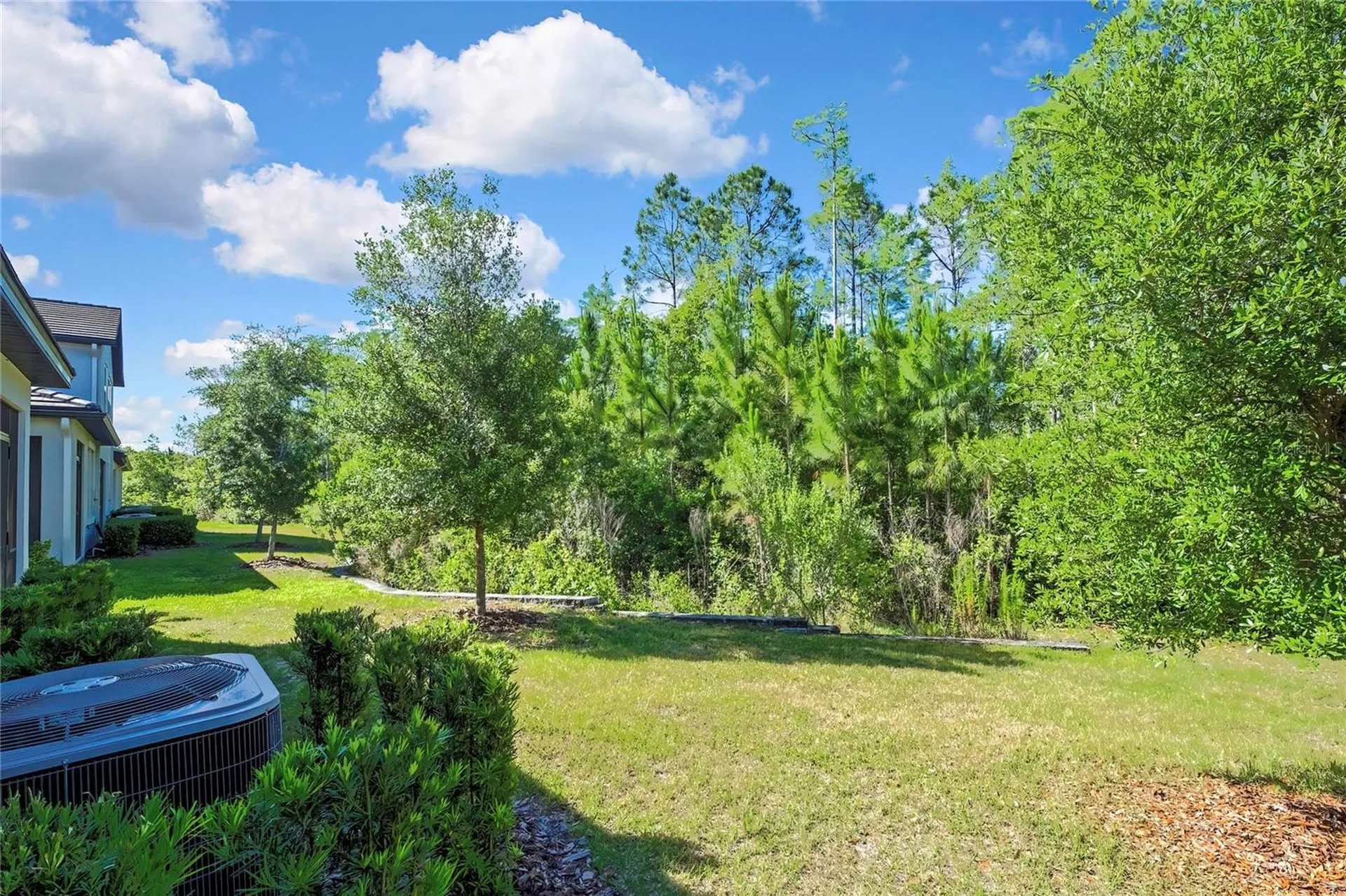 16663 Shell Bay Drive Land O Lakes FL 34638