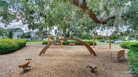 907 Easley Avenue Winter Garden FL 34787