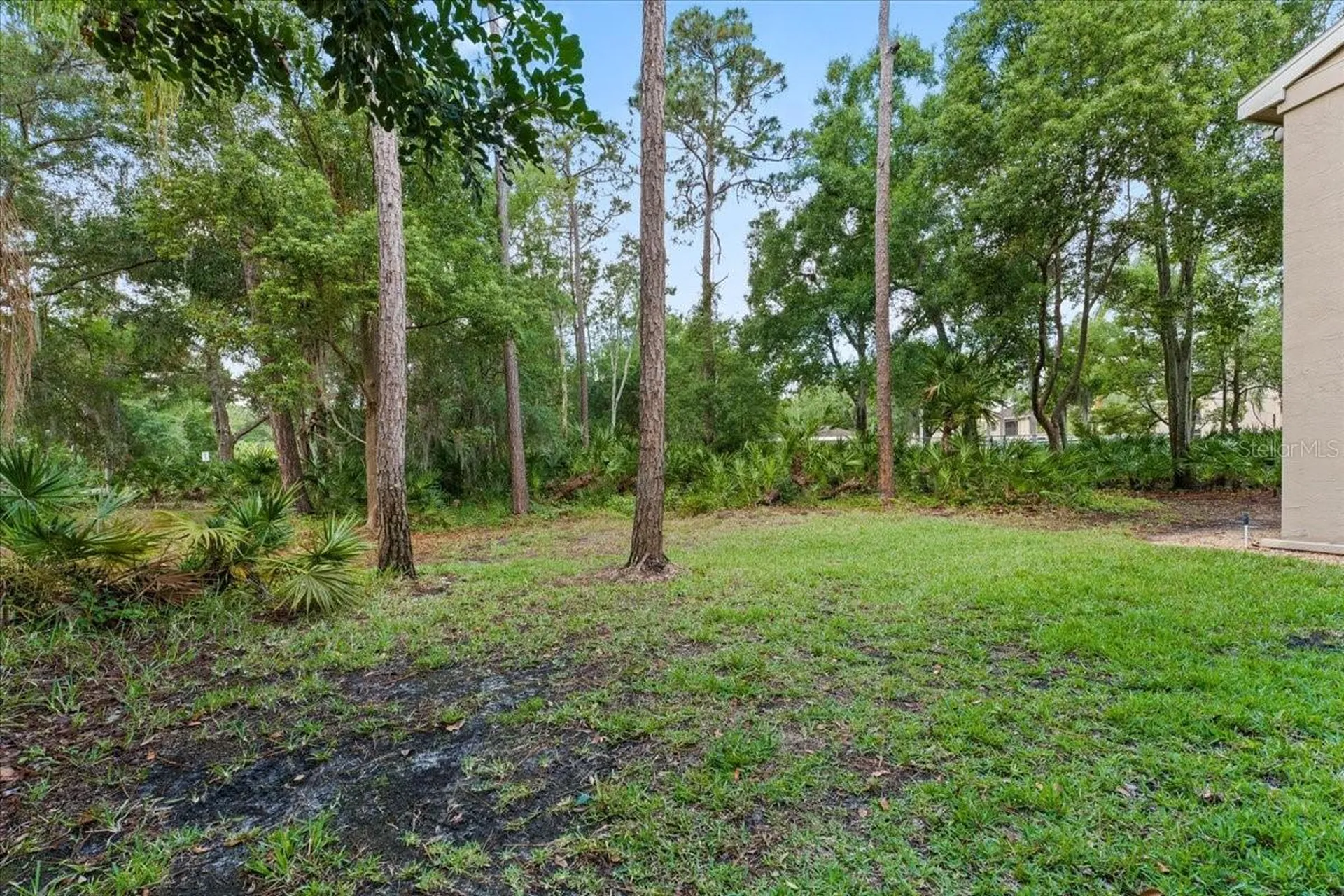 10 Shamrock Way Oldsmar FL 34677