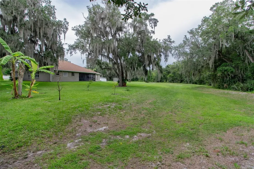 2602 Blackwater Oaks Lane Mulberry FL 33860