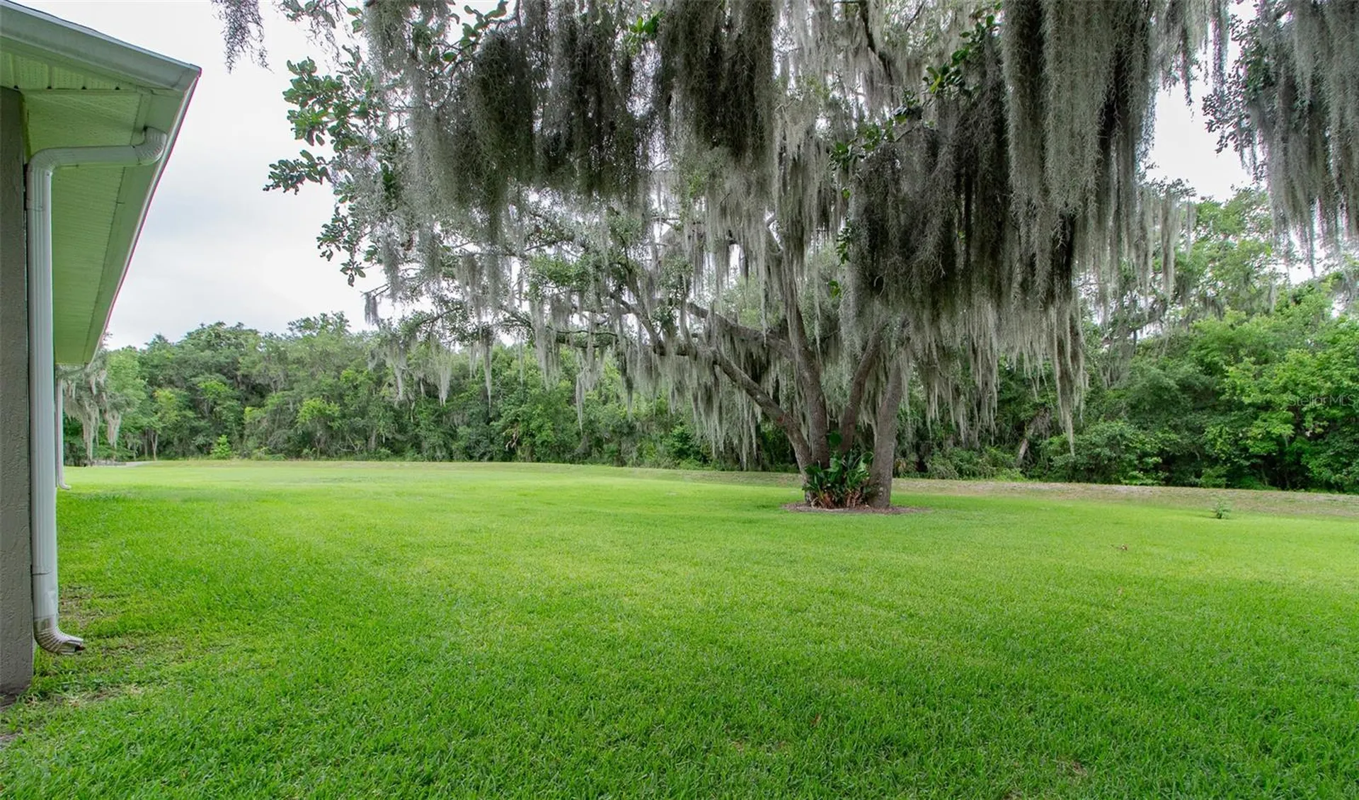 2602 Blackwater Oaks Lane Mulberry FL 33860