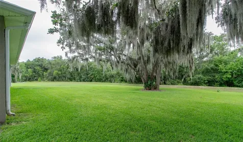 2602 Blackwater Oaks Lane Mulberry FL 33860