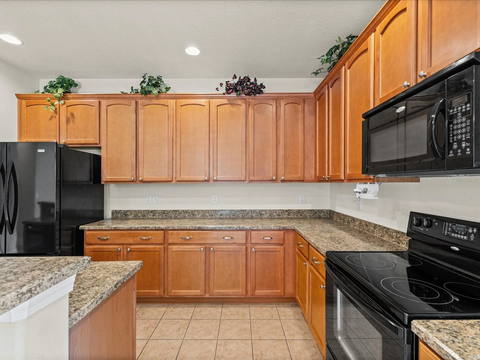11448 Merganser Way New Port Richey FL 34654