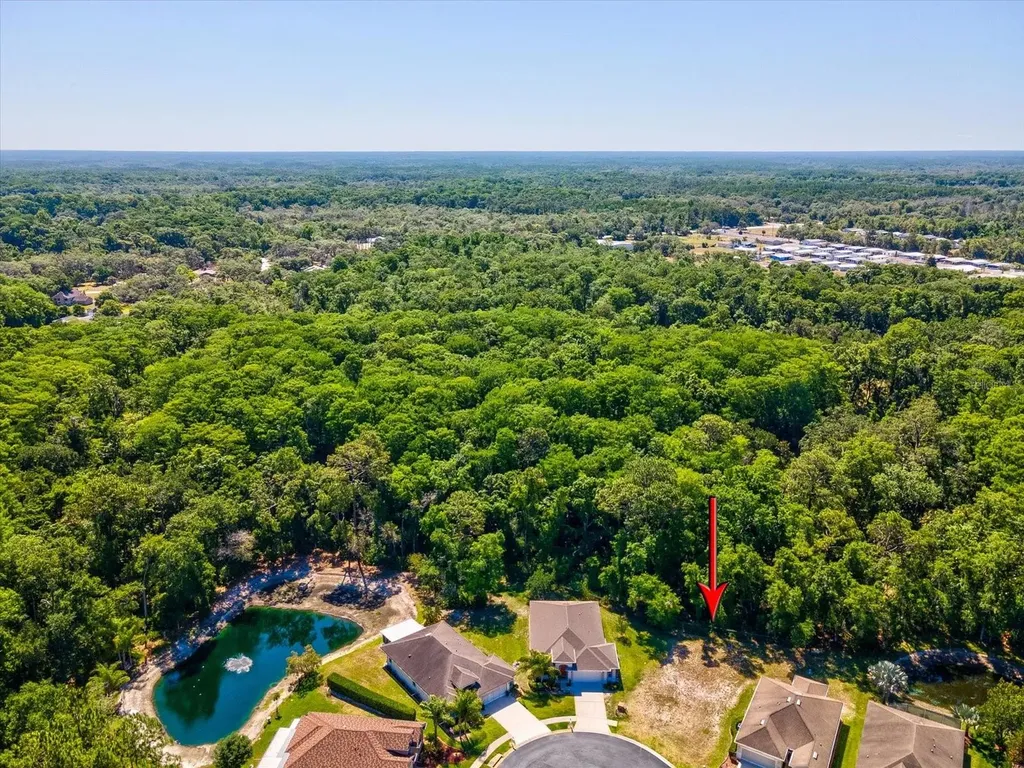 11444 Merganser Way New Port Richey FL 34654