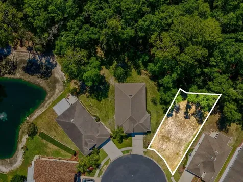 11444 Merganser Way New Port Richey FL 34654