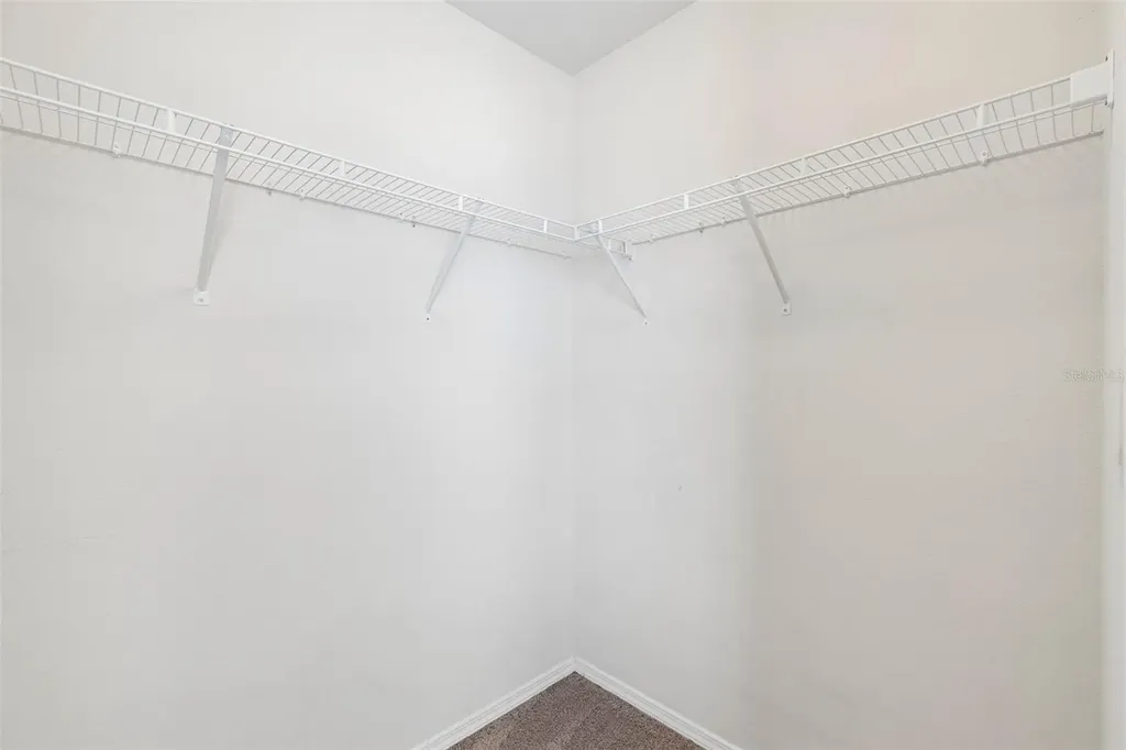 4768 White Sanderling Court Tampa FL 33619