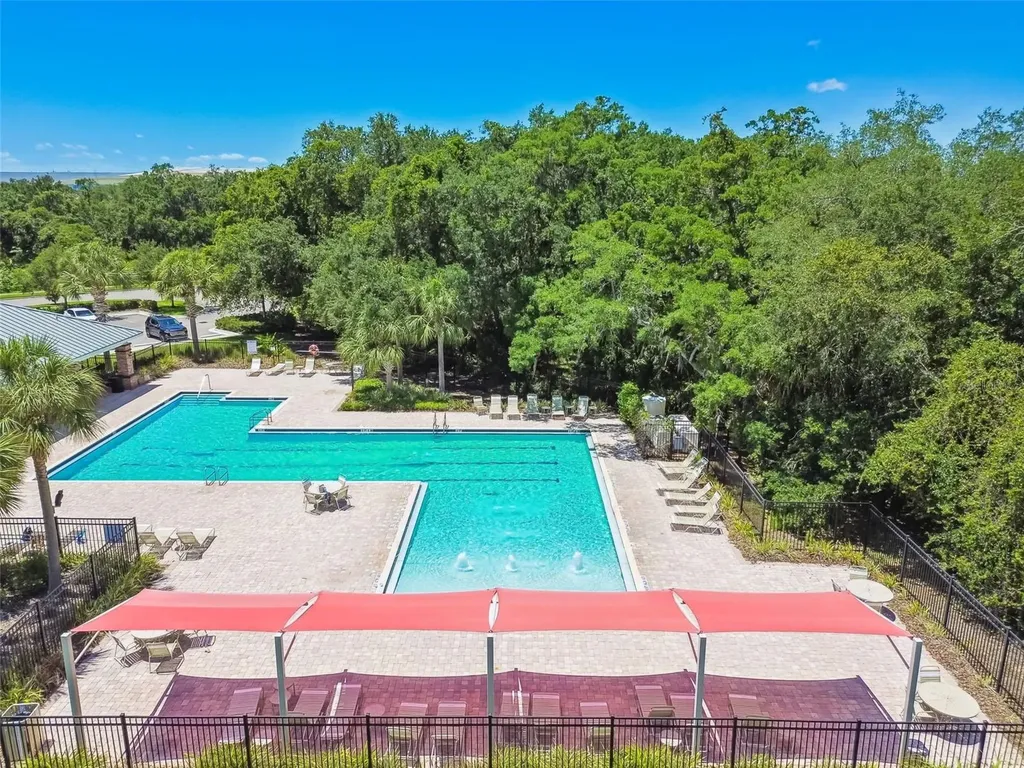 4768 White Sanderling Court Tampa FL 33619