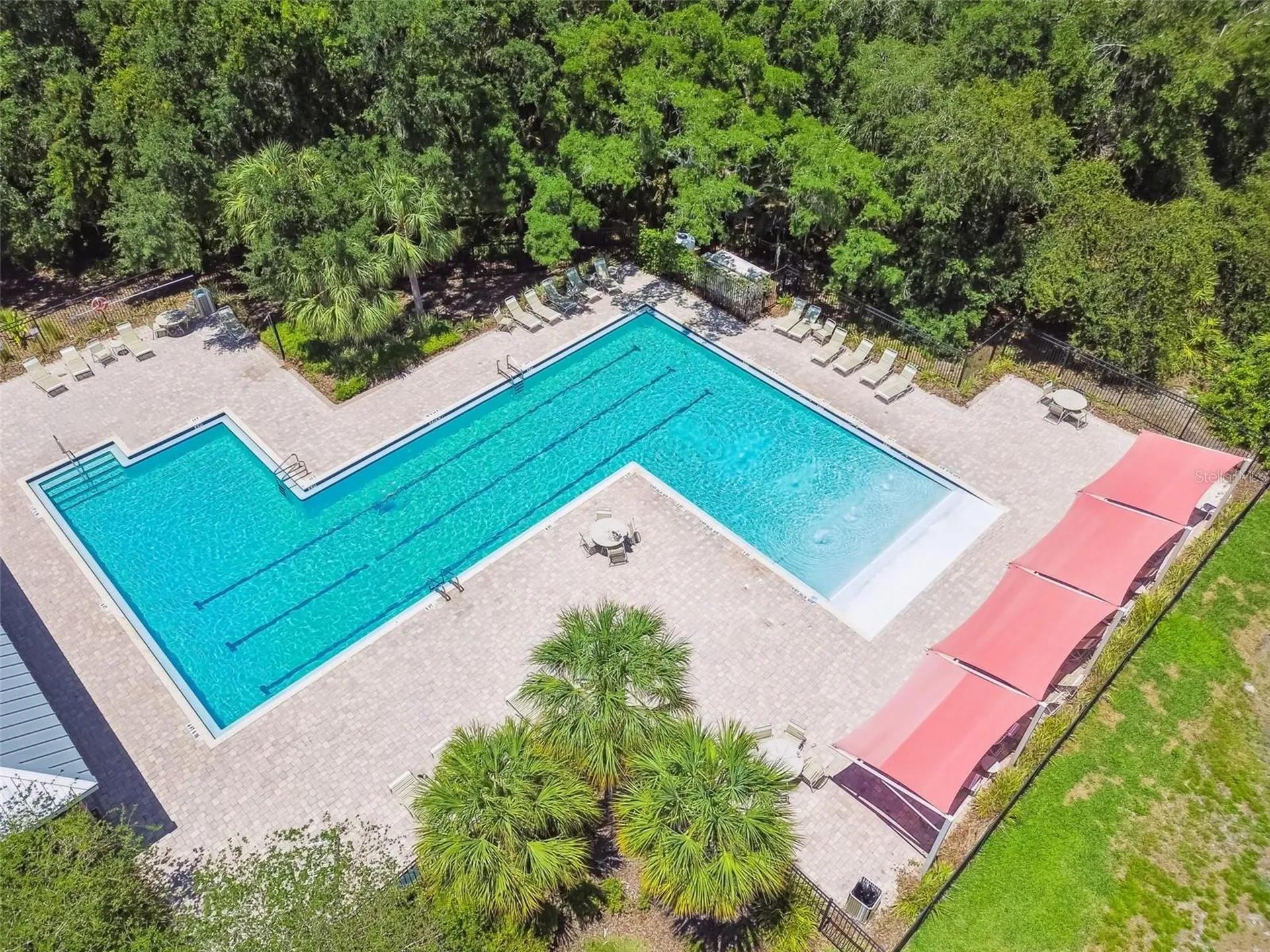 4768 White Sanderling Court Tampa FL 33619