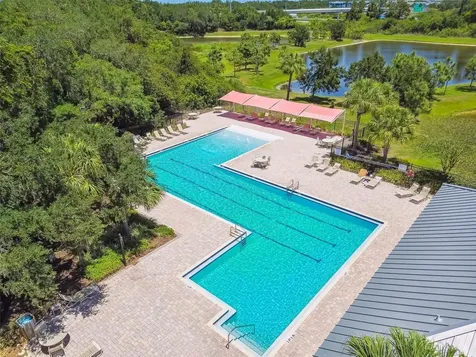 4768 White Sanderling Court Tampa FL 33619