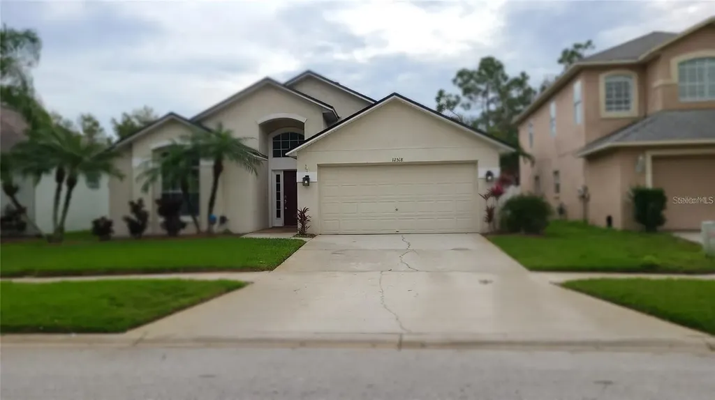12518 Sparkleberry Road Tampa FL 33626