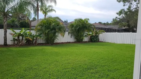 12518 Sparkleberry Road Tampa FL 33626
