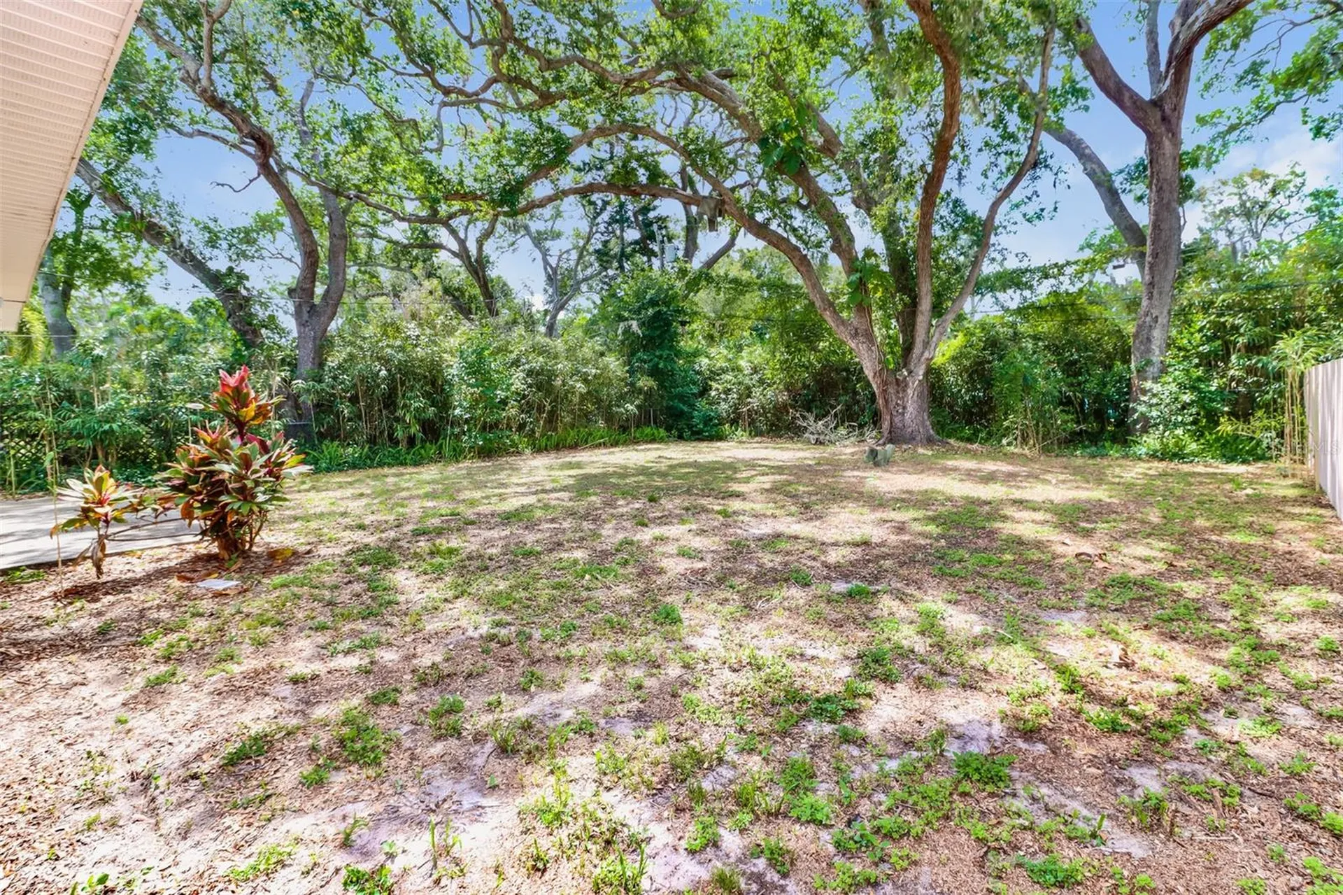 1619 Edna Avenue Largo FL 33770