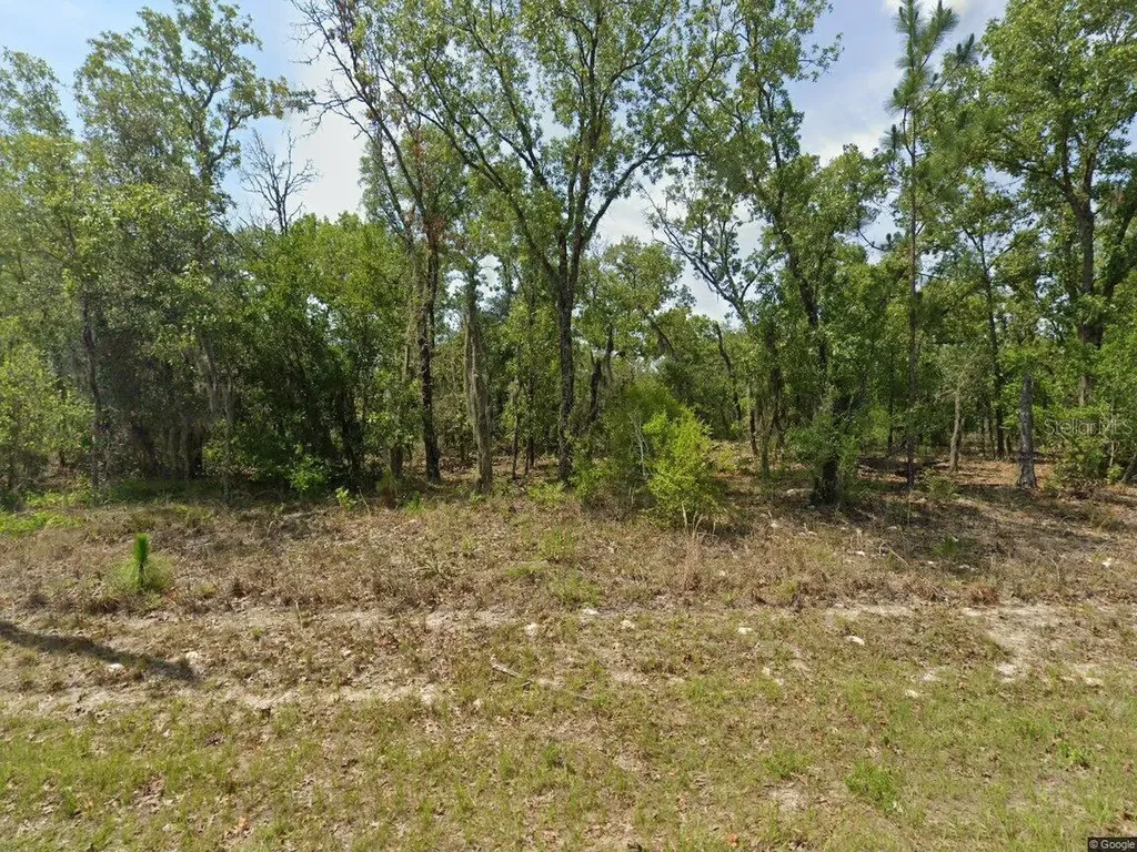 1900 W Magenta Drive Dunnellon FL 34434