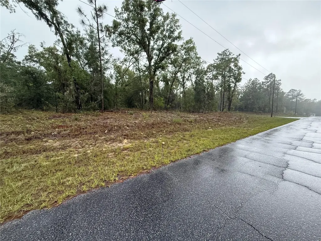1900 W Magenta Drive Dunnellon FL 34434