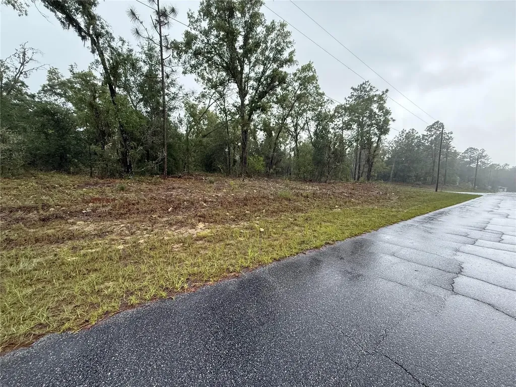 1900 W Magenta Drive Dunnellon FL 34434