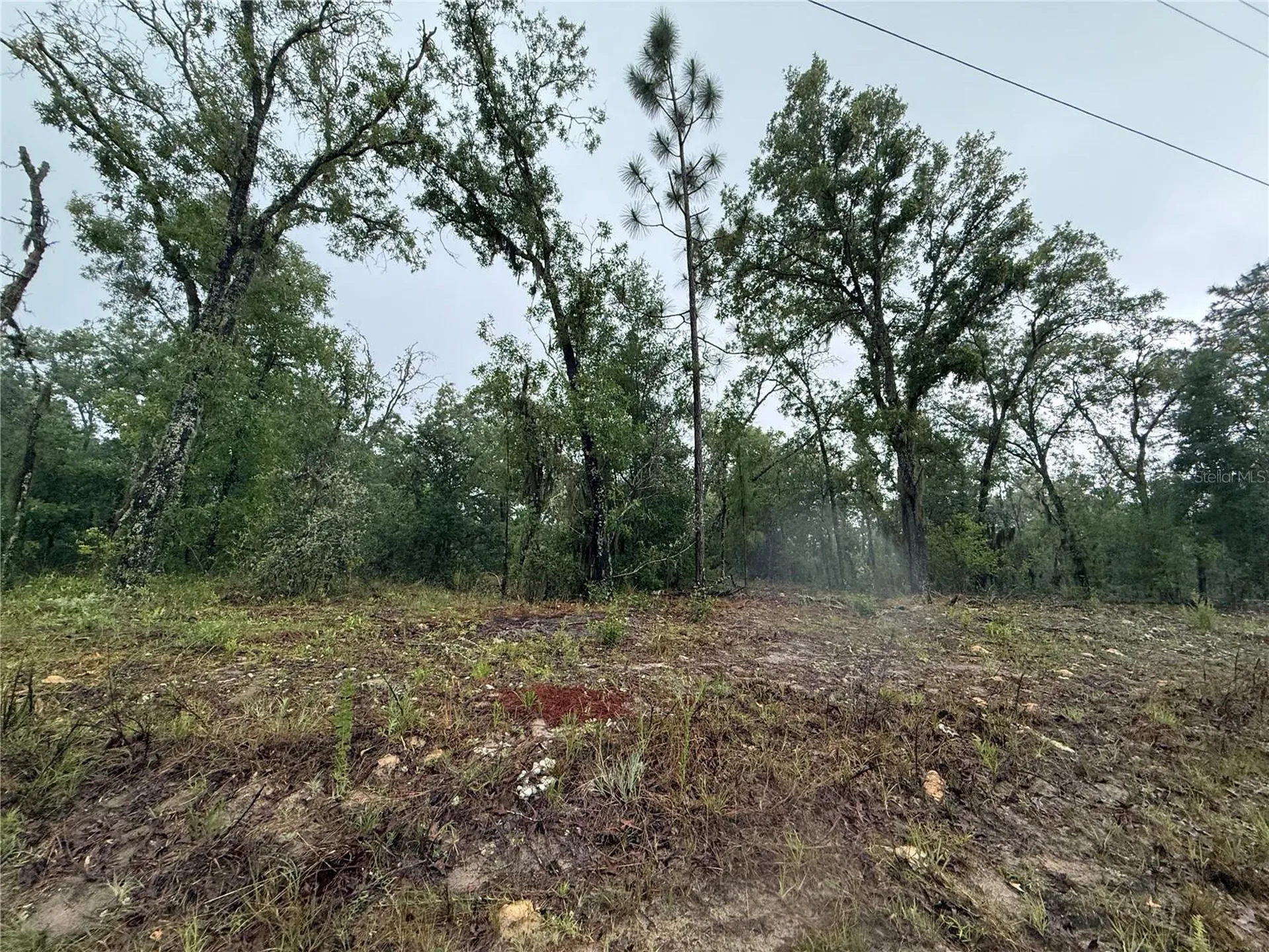 1900 W Magenta Drive Dunnellon FL 34434