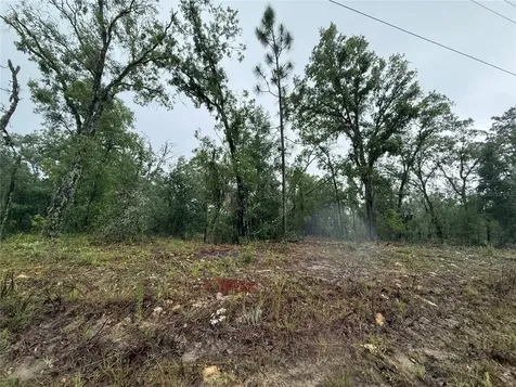 1900 W Magenta Drive Dunnellon FL 34434