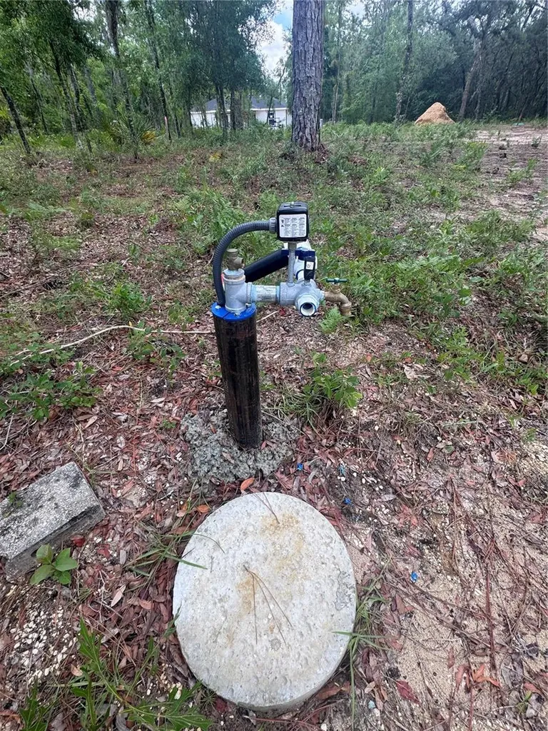 Tbd NE 16th Place Williston FL 32696