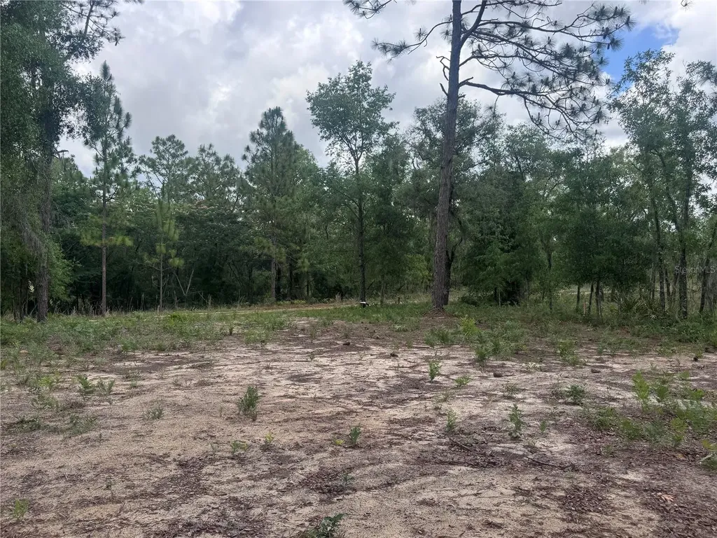 Tbd NE 16th Place Williston FL 32696