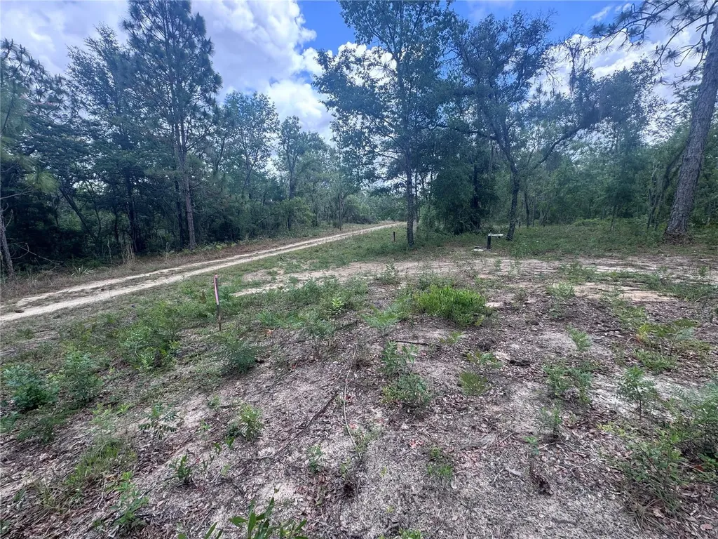 Tbd NE 16th Place Williston FL 32696