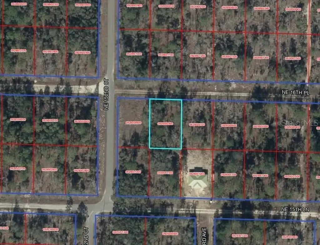 Tbd NE 16th Place Williston FL 32696