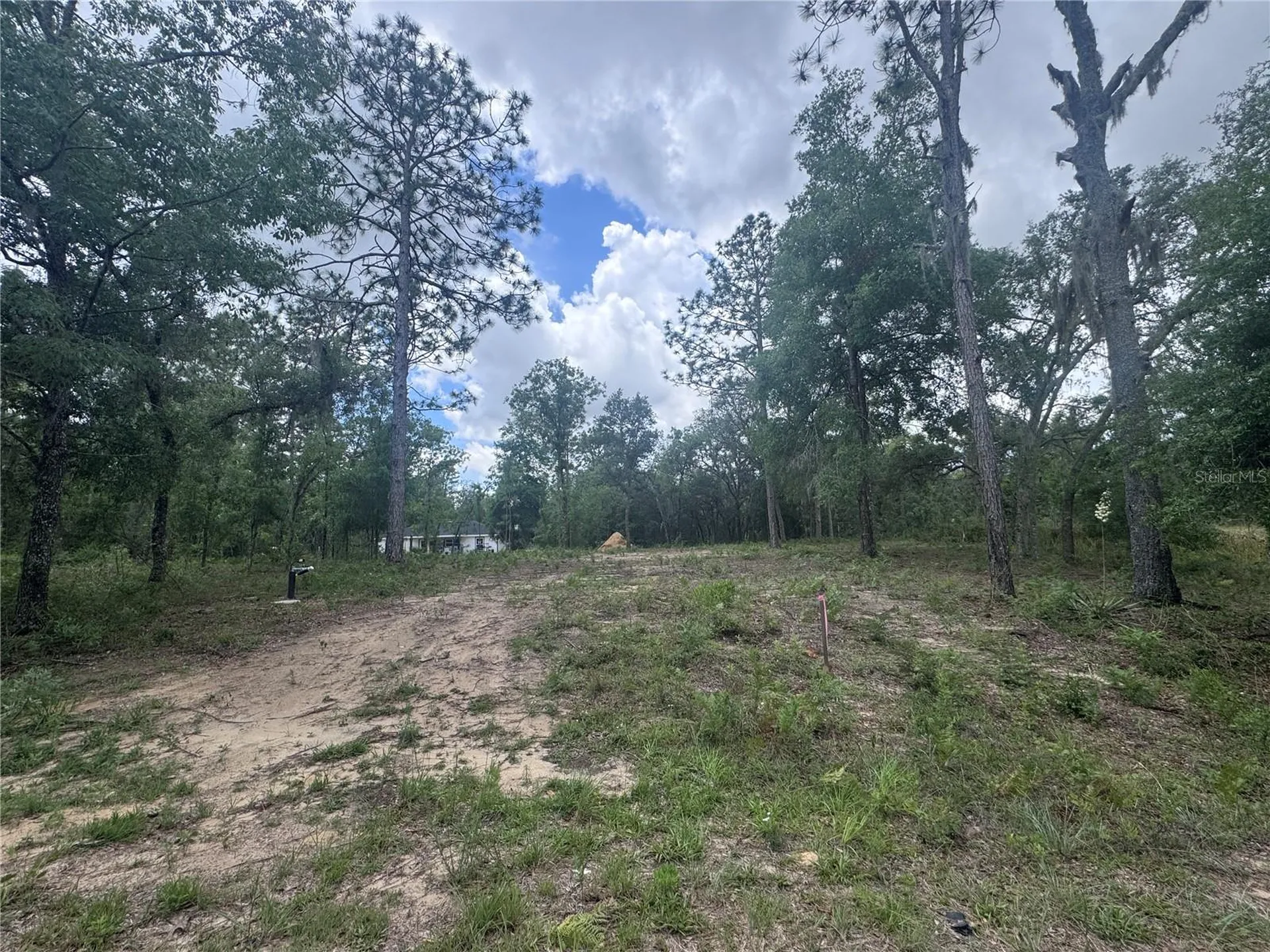 Tbd NE 16th Place Williston FL 32696
