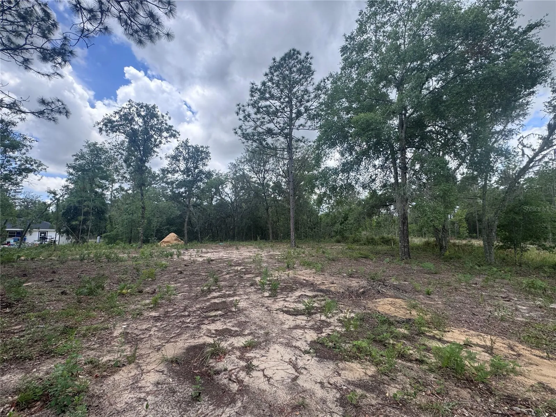 Tbd NE 16th Place Williston FL 32696