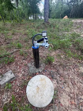 Tbd NE 16th Place Williston FL 32696