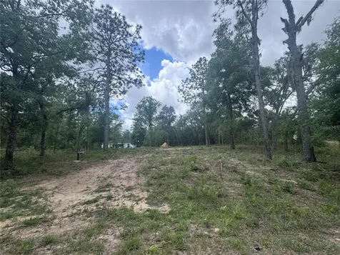 Tbd NE 16th Place Williston FL 32696