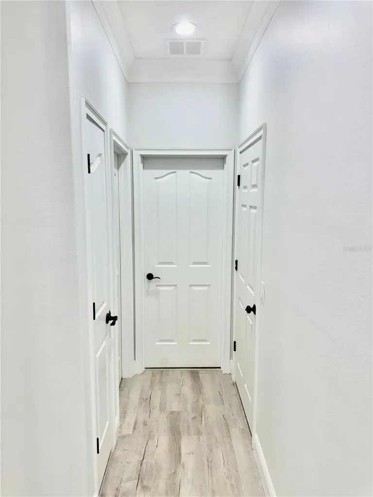 1541 Hackney Terrace Deland FL 32720
