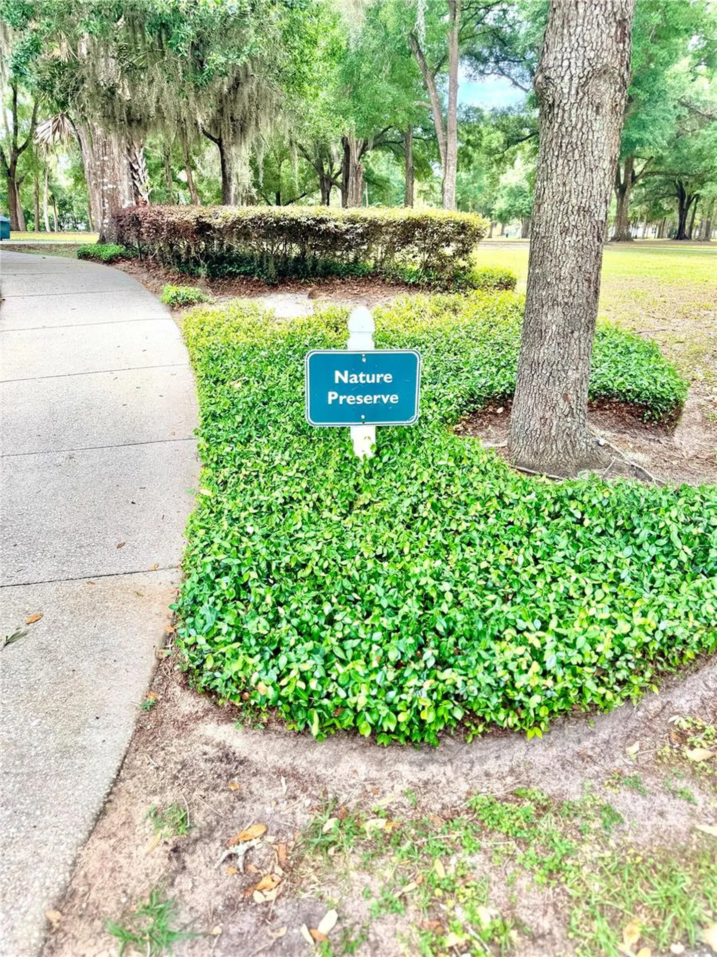 1541 Hackney Terrace Deland FL 32720