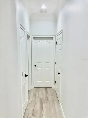 1541 Hackney Terrace Deland FL 32720