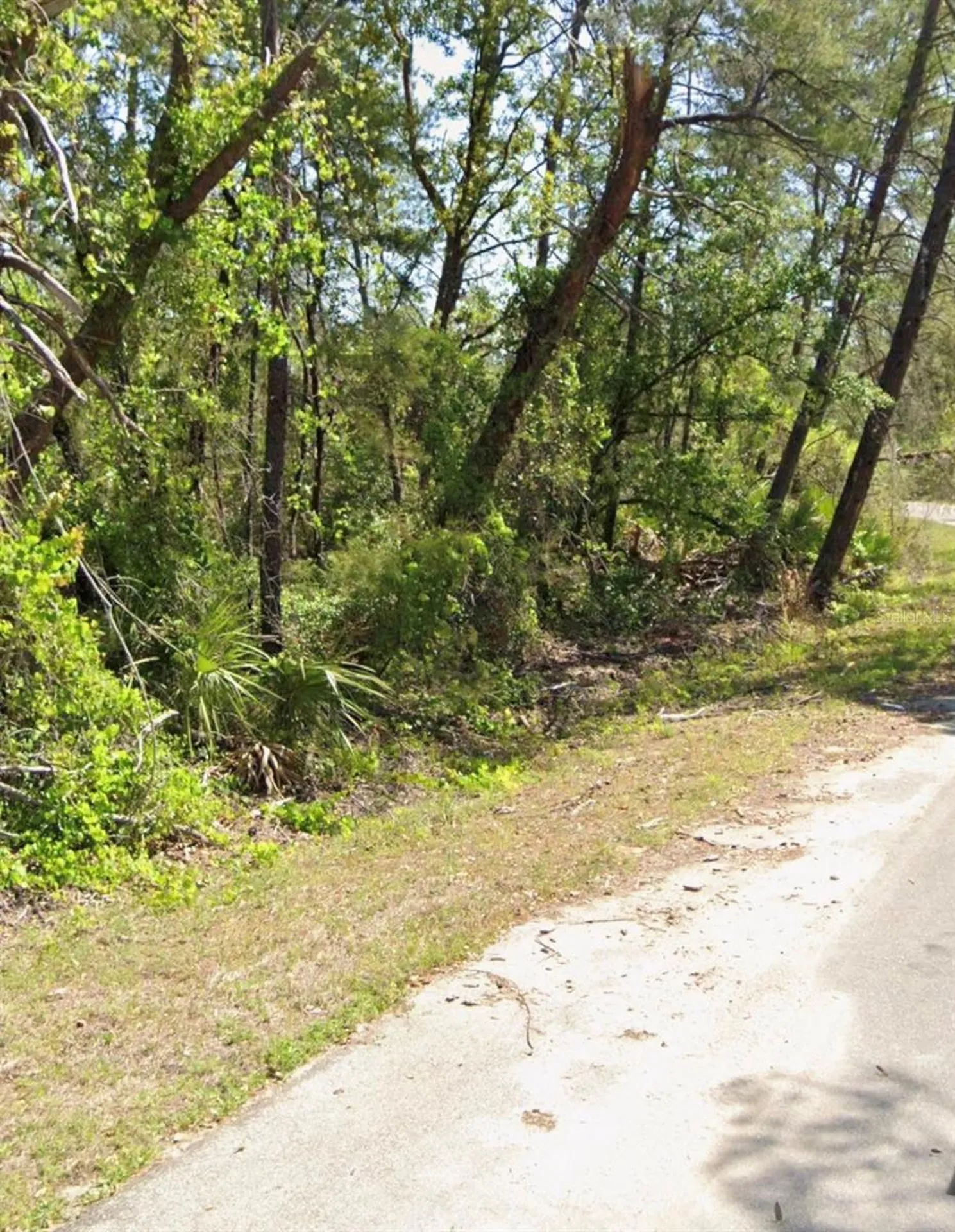 Tbd Fisher Court Ocklawaha FL 32179