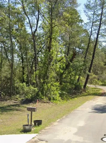 Tbd Fisher Court Ocklawaha FL 32179